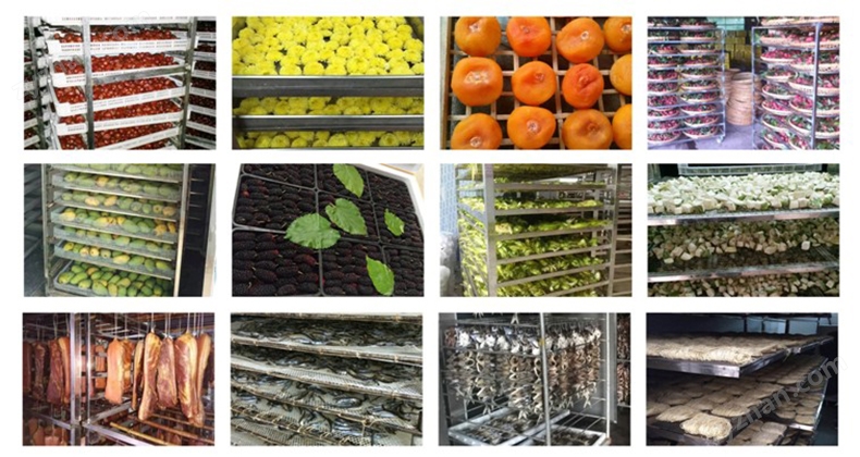 湘粤两省社保互联互通首个案例成功办理